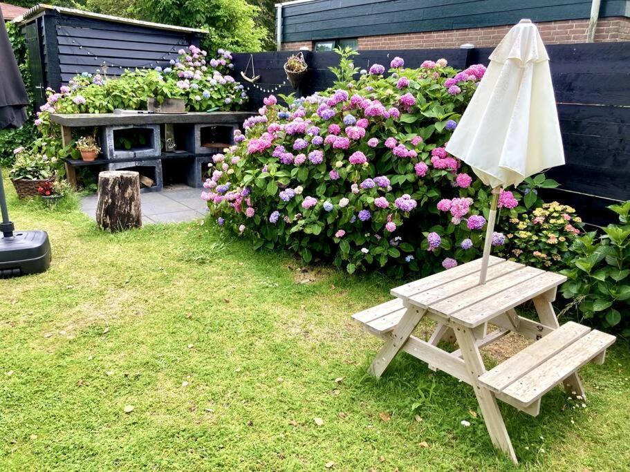 Holiday Home Beachy Days Near Ocean & Lake Noordwijkerhout Zewnętrze zdjęcie